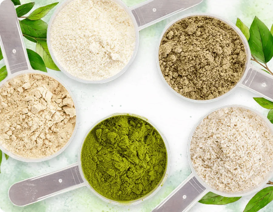 ProDentim ingredients - the natural blend inside ProDentim